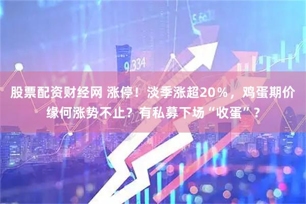 股票配资财经网 涨停！淡季涨超20％，鸡蛋期价缘何涨势不止？有私募下场“收蛋”？